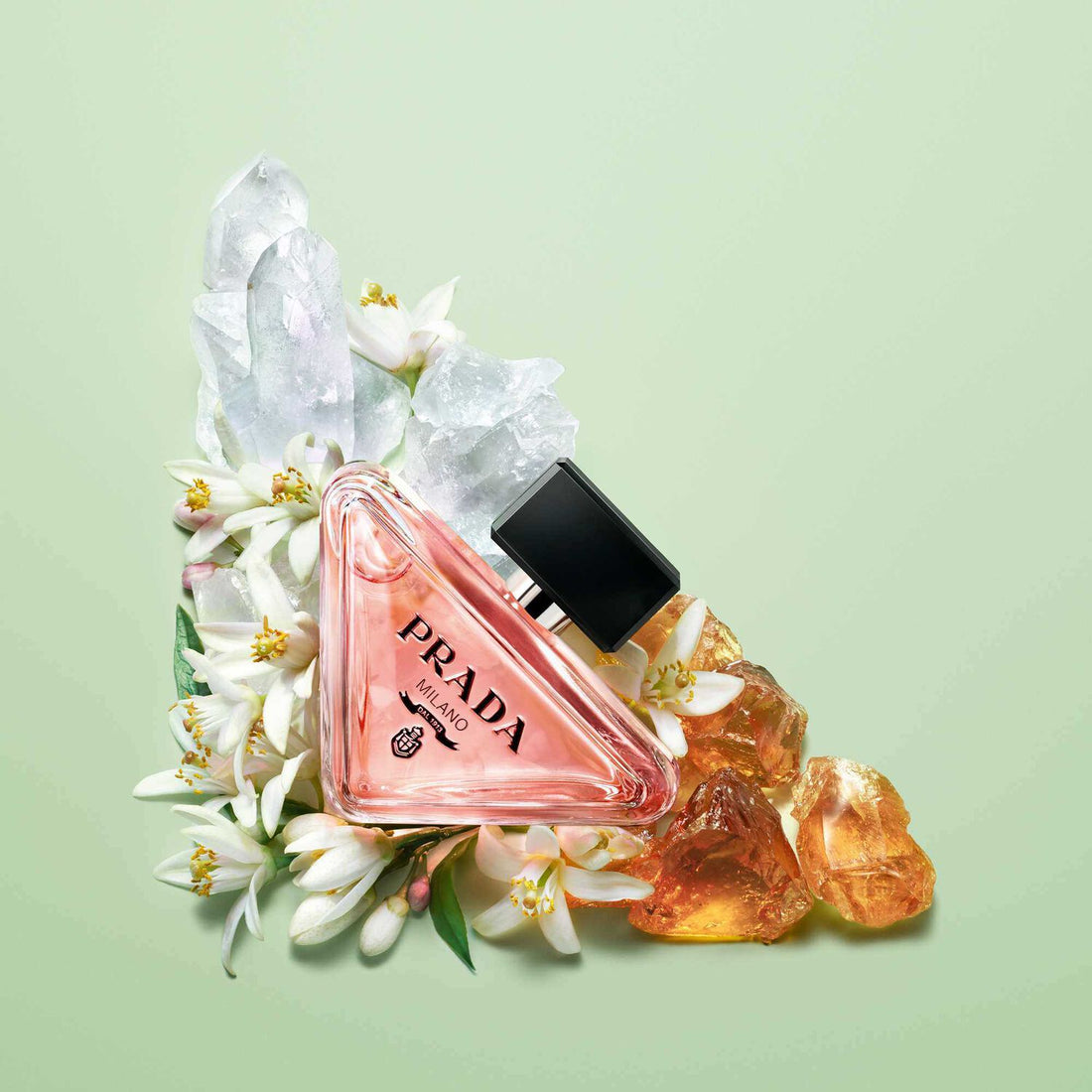 Prada - Paradoxe - Eau de Parfum Spray